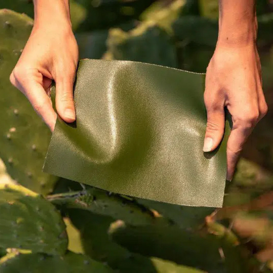 Vegan Leather Alternatives